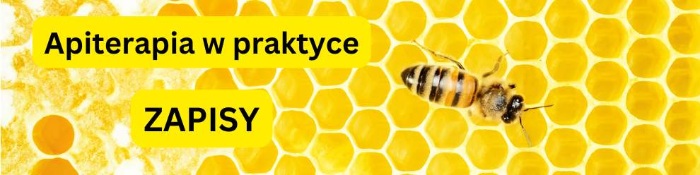 Apiterapia w praktyce - zapisy